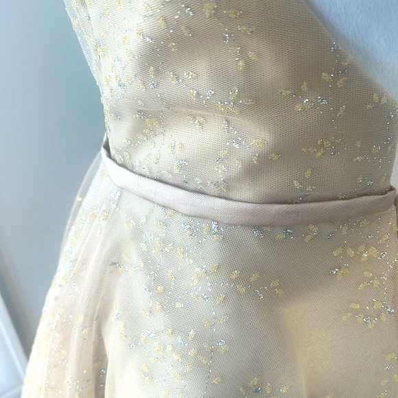 Terani Couture NWT Champagne Tulle Cocktail Dress Wedding Guest Size 6 - Picture 13 of 16